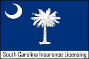 South Carolina Insurance Adjuster License